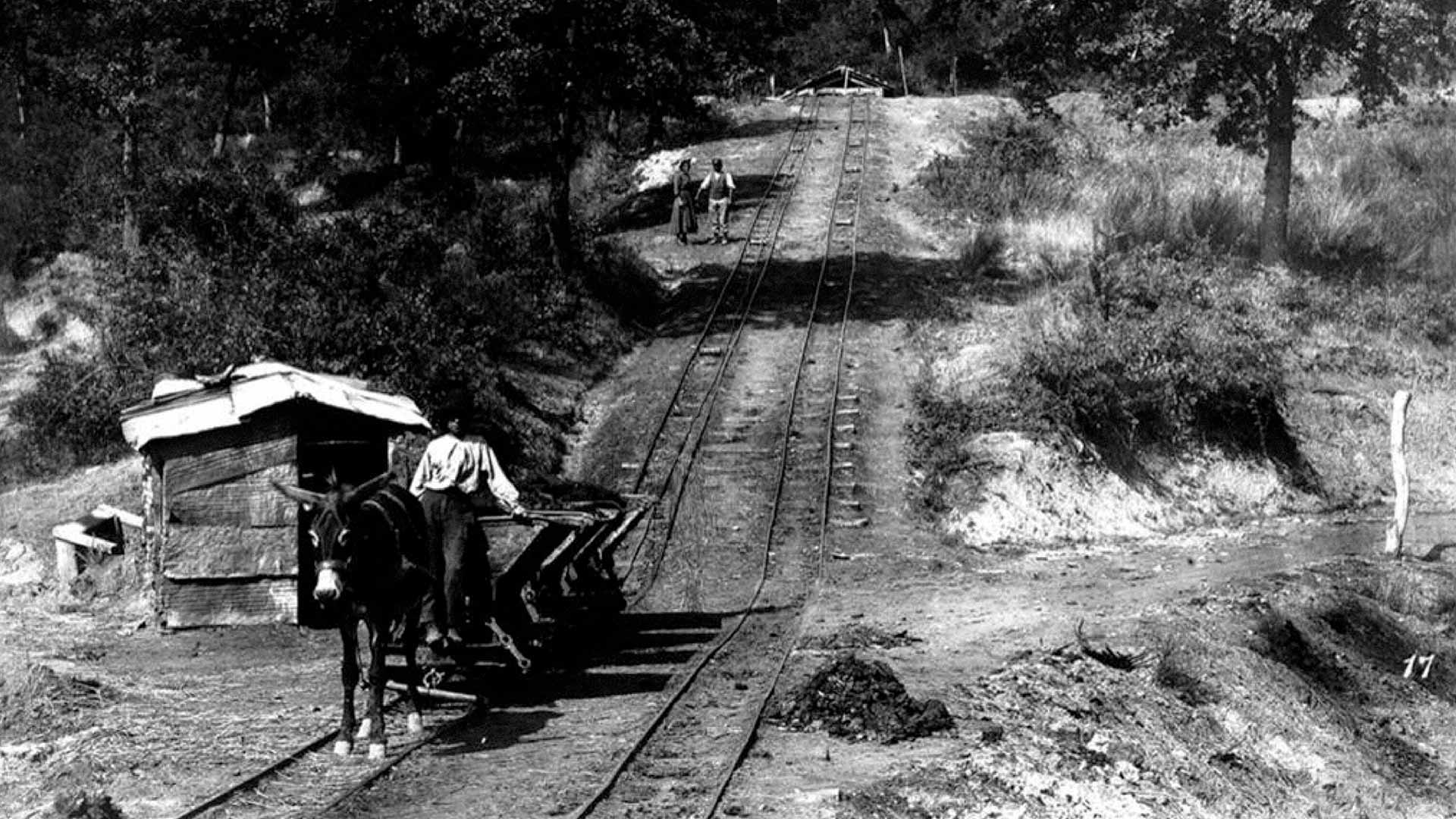 La récolte du charbon. Archives photographiques Alinari.