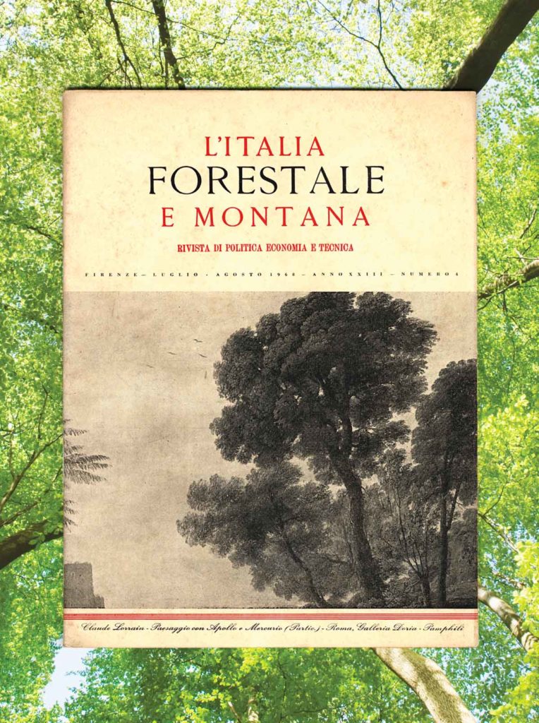 Italia Forestale Listone Giordano Fondazione Parquet