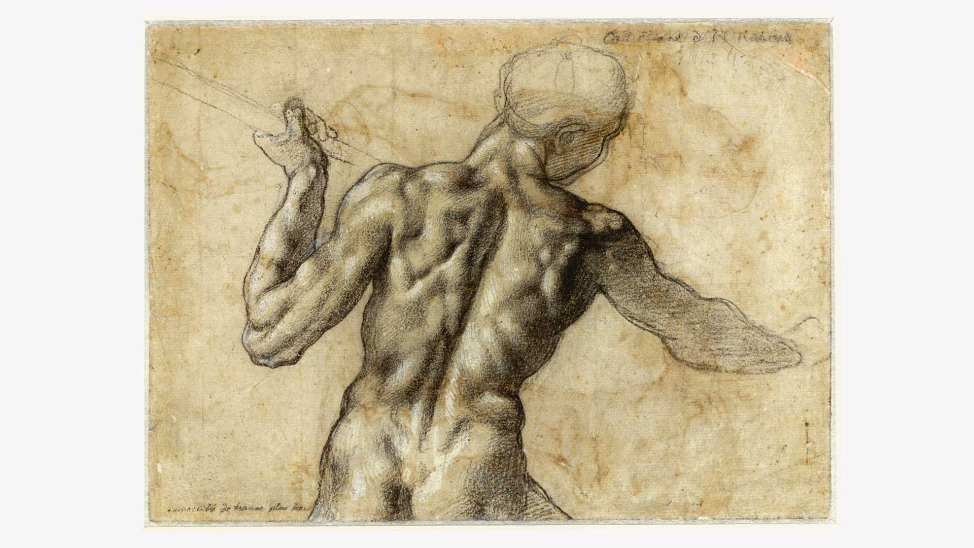 L'età di Michelangelo. I capolavori dell'Albertiniana 